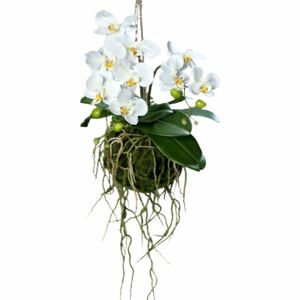 Aranjament orhidee artificiala Phalaenopsis Avatar alba pentru agatat, 43 cm