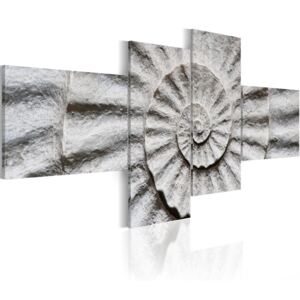 Tablou Bimago - Stone Shell 100x45 cm