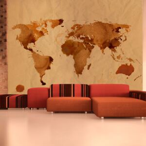 Fototapet - Tea map of the World 250x193 cm
