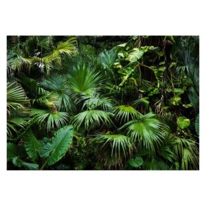 Tapet format mare Bimago Sunny Jungle, 400 x 280 cm