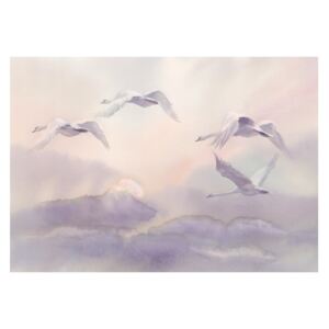 Tapet format mare Bimago Flying Swans, 400 x 280 cm