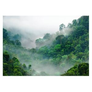 Tapet format mare Bimago Morning Fog, 400 x 280 cm