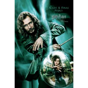 Poster de artă Harry Potter - Make a final stand