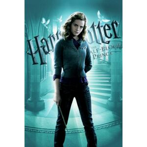 Poster de artă Harry Potter - Half blood prince