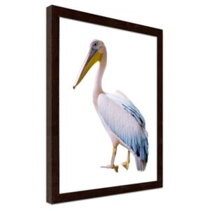 CARO Imagine în cadru - Pelican 30x40 cm Maro