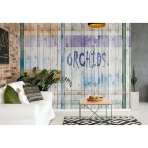 Fototapet - Painted Wood Planks Orchids Vliesová tapeta - 254x184 cm
