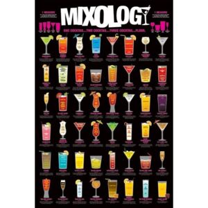 Poster Mixology, (61 x 91.5 cm)