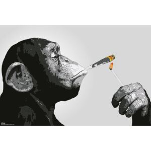 Poster Steez - Monkey Smoking, (91.5 x 61 cm)