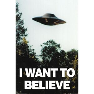 Poster The X-Files - I Want To Believe, (61 x 91.5 cm)