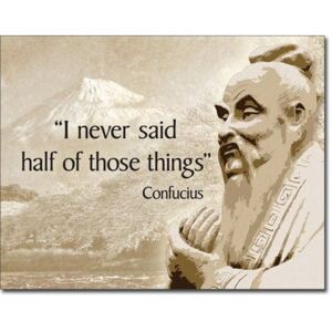 Confucius - Didn't Say Placă metalică, (30 x 42 cm)