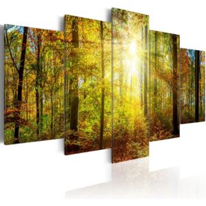 Tablou - Mystical Forest 200x100 cm