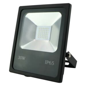 LED Proiector R1482 SANDY LED/30W/230V IP65