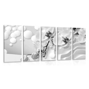 Tablou 5-piese orhidee în alb-negru pe un fundal abstract