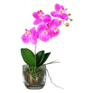 Orhidee Phalaenopsis roz cu aspect 100% natural in vas de sticla, 42 cm