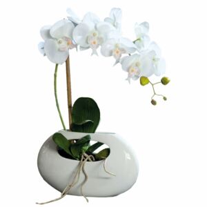 Orhidee Phalaenopsis în vas ceramic alb, 43 cm