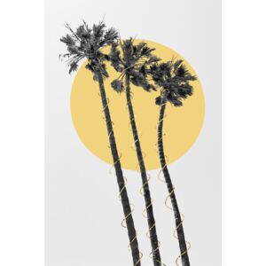 Fotografii artistice Palm Trees In The Sun, Melanie Viola