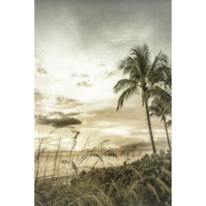 Fotografii artistice BONITA BEACH Bright Vintage Sunset, Melanie Viola