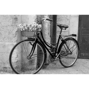 Tablou bicicletă rustică în design alb-negru