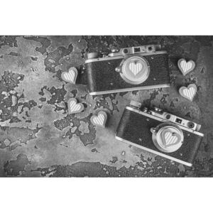 Tablou inimioare și camere foto retro în design alb-negru