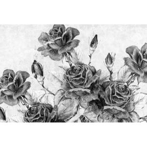 Obraz vintage kytica ruží v čiernobielom prevedení