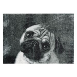 Preș Mint Rugs StateMat Dog, 50 x 75 cm, gri