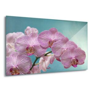 Tablou pe sticlă - Orchid Elegance 100x75 cm