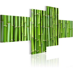 Tablou - Zelené lodyhy bambusu 200x90