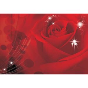 GLIX Tapet netesute pe usă - Red Rose Sparkles Flowers