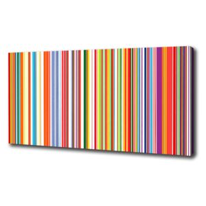 Tablou pe pânză canvas Dungi colorate
