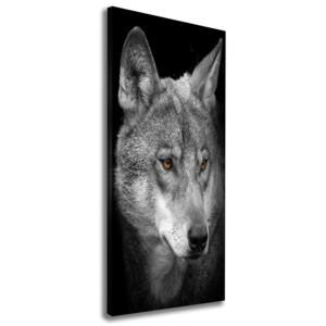 Tablou pe pânză canvas Portret de lup
