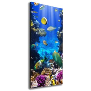 Print pe canvas Recif de corali