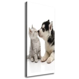 Imprimare tablou canvas Câine și pisică