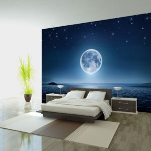 Fototapet Bimago - Moonlit night + Adeziv gratuit 150x105 cm