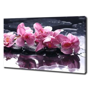 Tablou pe pânză canvas Orhidee roz