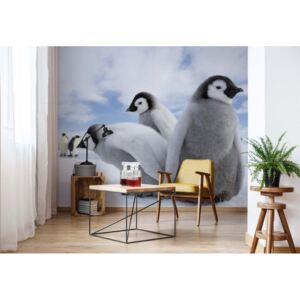 Fototapet - Penguins Vliesová tapeta - 368x254 cm