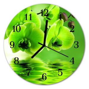 Ceas de perete din sticla rotund Orhidee Flori verzi