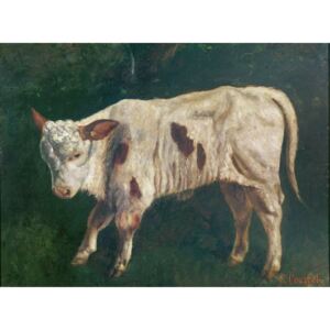 A Calf Reproducere, Gustave Courbet