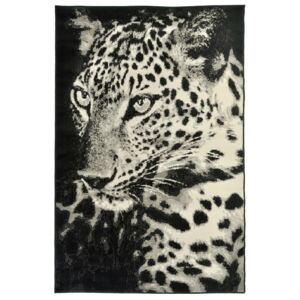 Covor Animal Print Tigra, Alb, 120x170