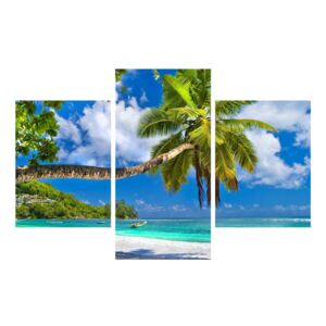 Tablou cu palmier și plaja (K012669K90603PCS)