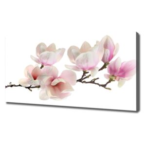 Tablou canvas Magnolie