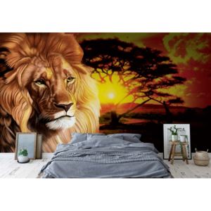 Fototapet - Lion Sunset Africa Animals Vliesová tapeta - 250x104 cm