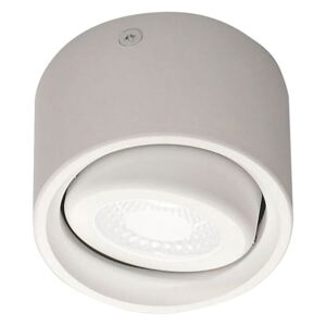 Spot LED Anzio aluminiu, alb, 1 bec, 230 V, 540 lm