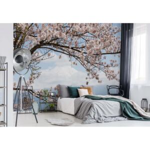 Fototapet - Cherry Blossom Tree Vliesová tapeta - 520x318 cm