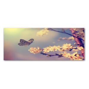 Tablou acrilic Floare de cireș și fluture