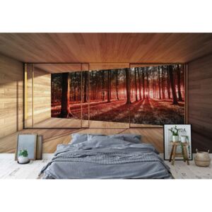 Fototapet - Moderní okno s výhledem na les 3D Vliesová tapeta - 254x184 cm