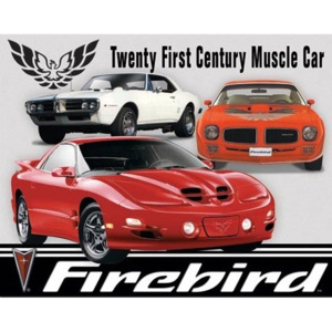 Pontiac Firebird Tribute Placă metalică, (40 x 31,5 cm)