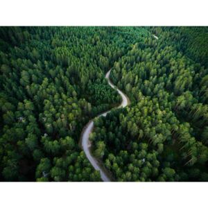 Fotografii artistice Aerial road crossing the forest, Javier Pardina