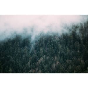 Fotografii artistice Fog over the forest, Javier Pardina