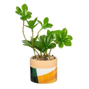 Plante Ghiveci Ceramic Verde/Portocaliu