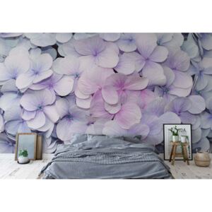 Fototapet - Flowers Pastel Purple Hydrangeas Papírová tapeta - 184x254 cm